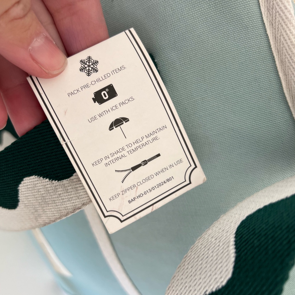 Business & Pleasure Co. The Holiday‎ Cooler Tote Back In Rivie Green NWT - Picture 5 of 16